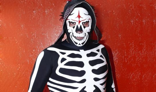 AAA’s La Parka Seriously Injured After Suicide Dive Goes Wrong (w/Video)