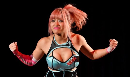 Netflix And Japanese Wrestling Star Hana Kimura Dead At 22