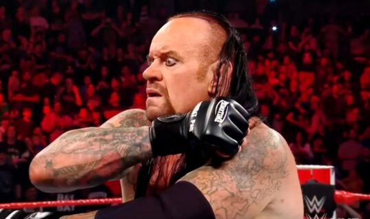The Undertaker Announces His Retirement By Saying “This Time The Cowboy Really Rides Away”