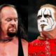The Undertaker Says A Match Against Sting Is Best Left To The Theater Of The Mind
