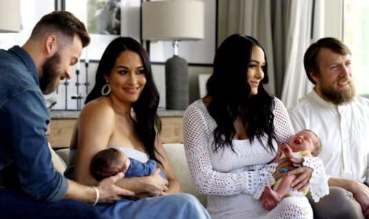 The Bella Twins Reveal The Names Of Their Newborn Babies