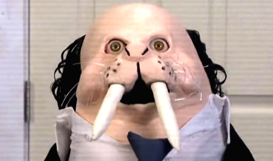 WWE Selling Wobbly Walrus Merchandise