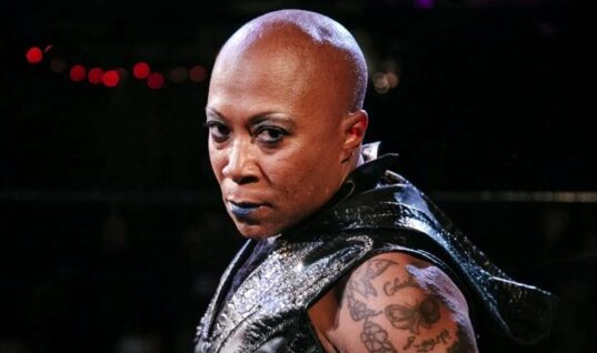 Former WWE Women’s Champion Jazz Makes Big Announcement