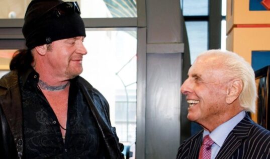 Ric Flair Thinks The Undertaker Will Wrestle Again