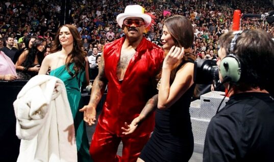 The Godfather Agrees With Fan Criticism Of The Undertaker’s Final Farewell