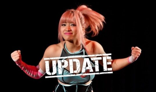 Man In His 20s Being Investigated For Cyberbullying Hana Kimura