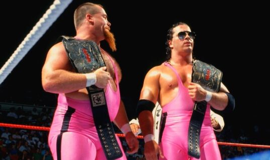 Bret Hart Says Vince McMahon Killed Tag Team Wrestling