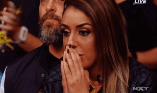 WWE Have Edited Out Britt Baker’s NXT TakeOver: WarGames Crowd Shot (w/Videos)