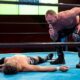 Jon Moxley Makes Surprise Appearance For New Japan