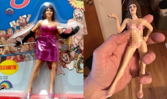 eBay Seller Asking Huge Money For Undressed Miss Elizabeth LJN Prototype