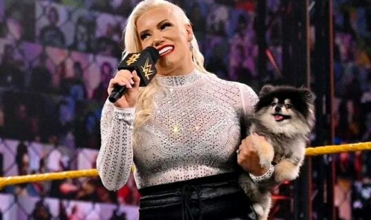 Taya Valkyrie Responds To Fans Who Complained About Her WWE Name