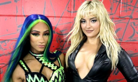 Bebe Rexha Deletes Social Media Video That Revealed WWE Backstage Sign