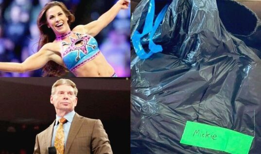 Mickie James Reveals Vince McMahon Phoned Her Following Trash Bag Incident