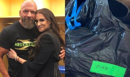Triple H & Stephanie McMahon Publicly Apologize To Mickie James