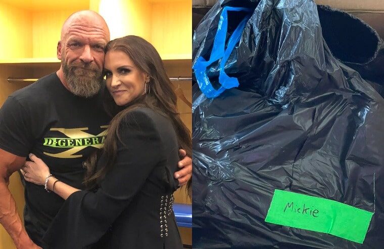 Triple H & Stephanie McMahon Publicly Apologize To Mickie James