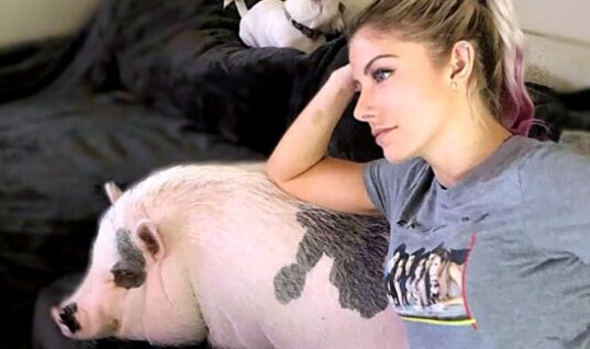 Alexa Bliss Says She Is Heartbroken Following Death Of Beloved Pet