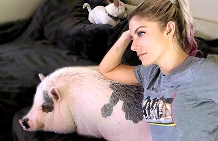 Alexa Bliss Says She Is Heartbroken Following Death Of Beloved Pet