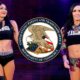The IIconics Trademark Their Post-WWE Tag Team Name