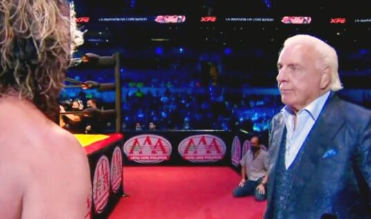 Ric Flair Appears At TripleMania & Gets Physical With Kenny Omega