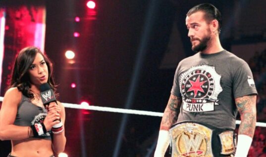 CM Punk Addresses Rumors That AJ Lee Could Join Him In AEW