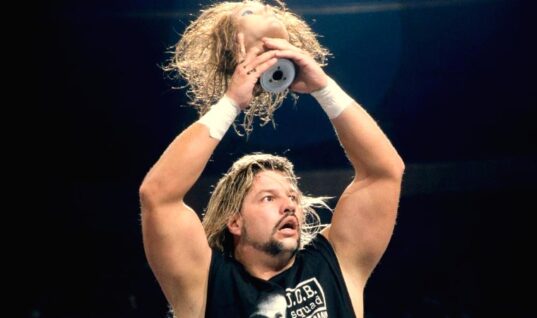 Former WWE Wrestler Al Snow Saves Child From Drowning