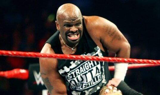 D-Von Dudley Confirms Whether He Is Retired From The Ring