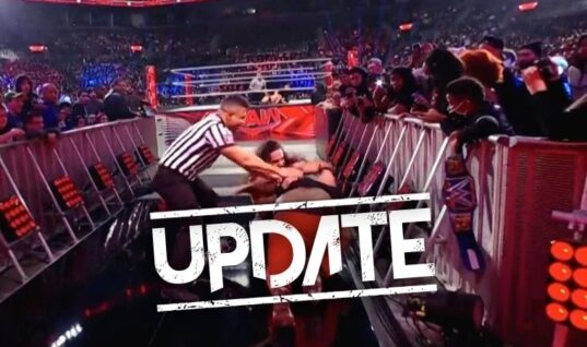 Possible Reason Revealed As To Why Fan Attacked Seth Rollins During Raw
