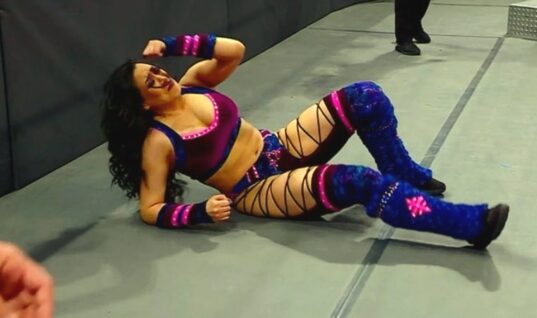 Gail Kim Criticizes WWE On How They Used Melina In The Royal Rumble