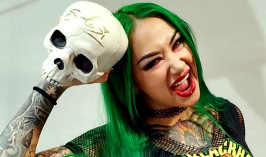 Confirmation Of Shotzi’s WWE Employment Status Following Release Speculation