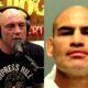 Joe Rogan Comments On Cain Velasquez’s Arrest