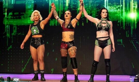 Former WWE Star Has Departed AEW