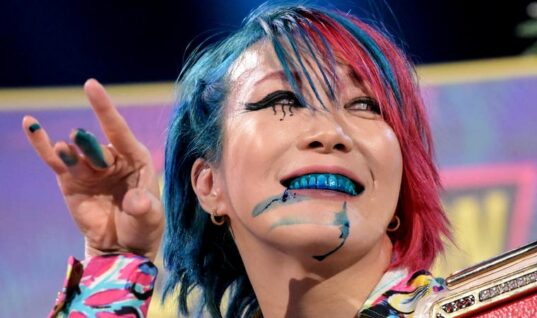 Asuka Asks Again For Fans To Stop Making Unwanted Romantic Advances Toward Her