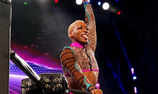 Former AEW Wrestler Shares The Hilarious Names She’s Given Her New Implants