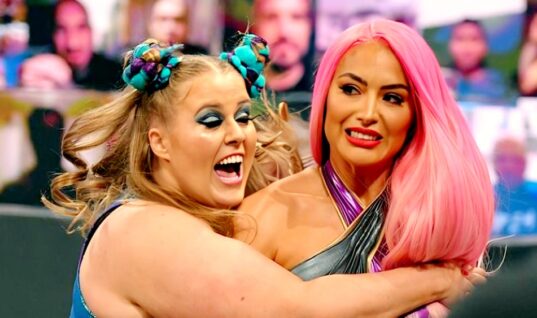 TMZ Reports Why Former WWE Diva Has Filed For Divorce