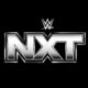 Speculation Commences That NXT Wrestler Is Getting A New Ring Name Following Trademark Application