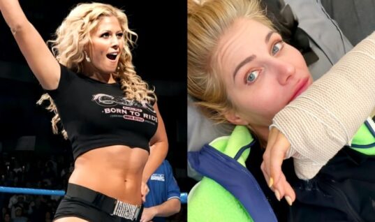 Torrie Wilson Reveals She Recently Underwent Surgery