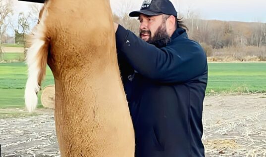Braun Strowman Responds To Backlash After Posting Hunting Photo