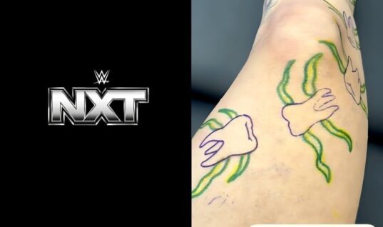 NXT Star Shows Off Her New Tattoo