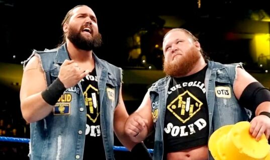 Former WWE Tag Team Wrestler Has Retired Having Launched A New Career