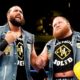 Former WWE Tag Team Wrestler Has Retired Having Launched A New Career