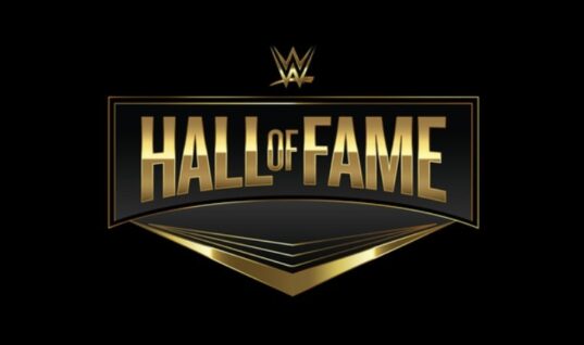 WWE Legend Criticized For Seemingly Falling Asleep During Hall Of Fame Speech