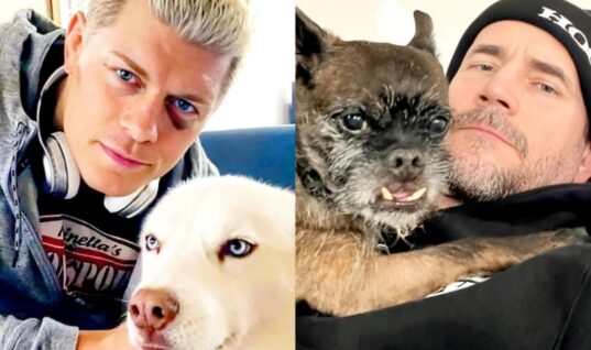 Cody Rhodes Comments On CM Punk’s Dog Larry Being A Top Merchandise Seller