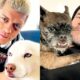Cody Rhodes Comments On CM Punk’s Dog Larry Being A Top Merchandise Seller