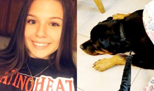 GoFundMe Launched To Help Kaylie Guerrero’s Sick Dog