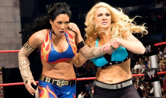 Some Fans Think A Former WWE Talent Could Be Preparing To Make A Comeback