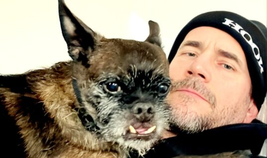 CM Punk Calls Fan “F*cking Disrespectful” During Instagram Live Session