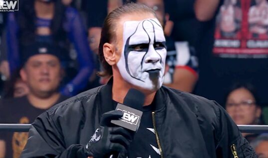 New Photo Shows Sting Has Embraced His Gray Hair In Retirement