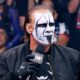 New Photo Shows Sting Has Embraced His Gray Hair In Retirement