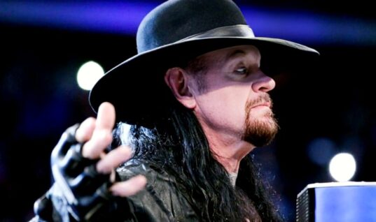 The Undertaker Confirms Whether He Could Wrestle Again