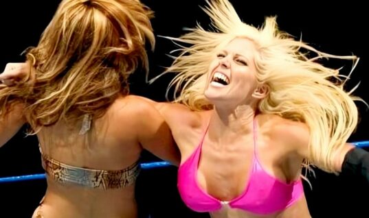 Torrie Wilson Shares Sad Personal News